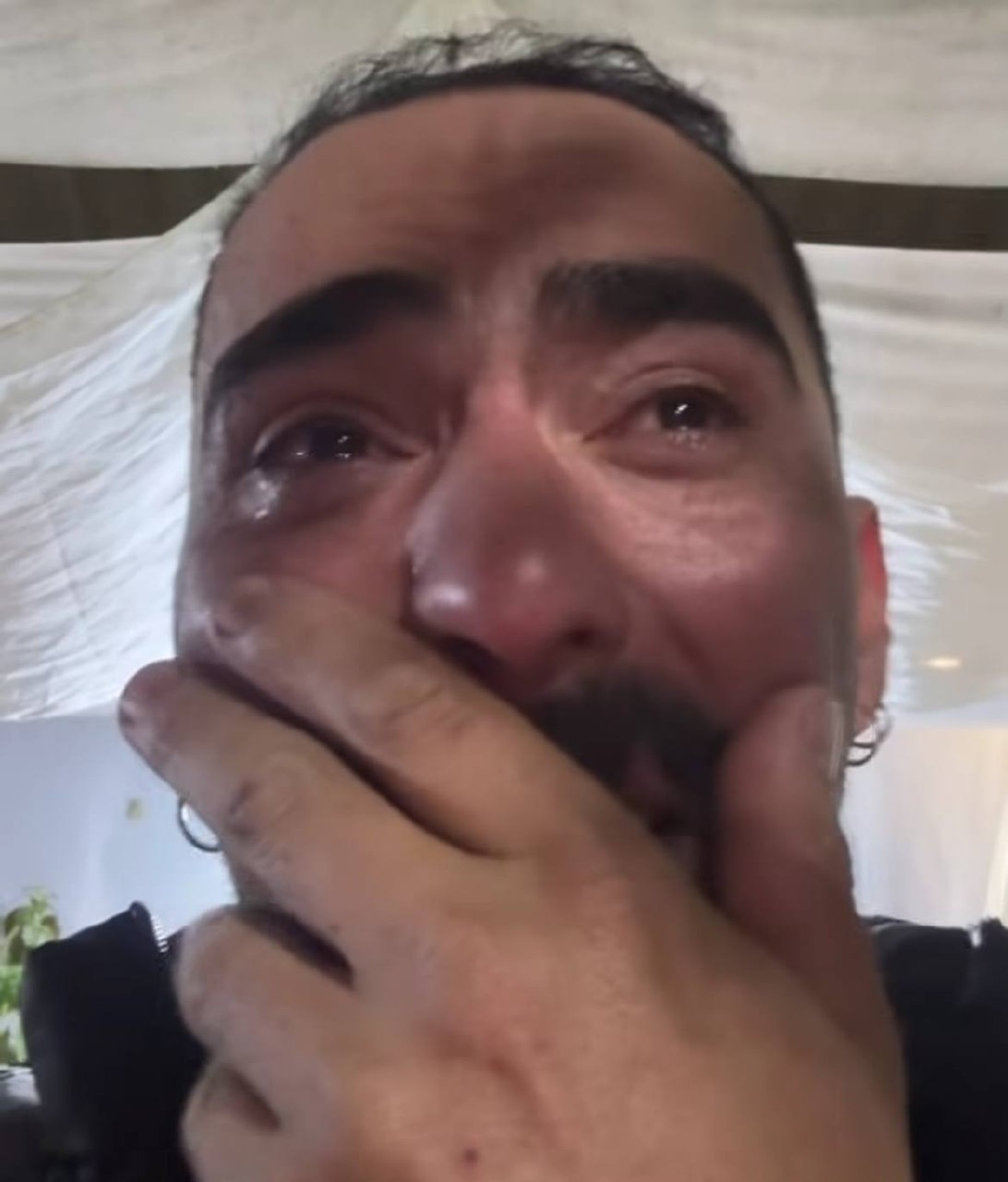 Foto vaquinha