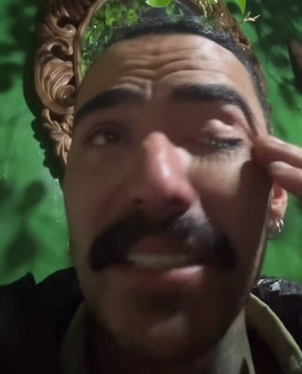 Foto vaquinha
